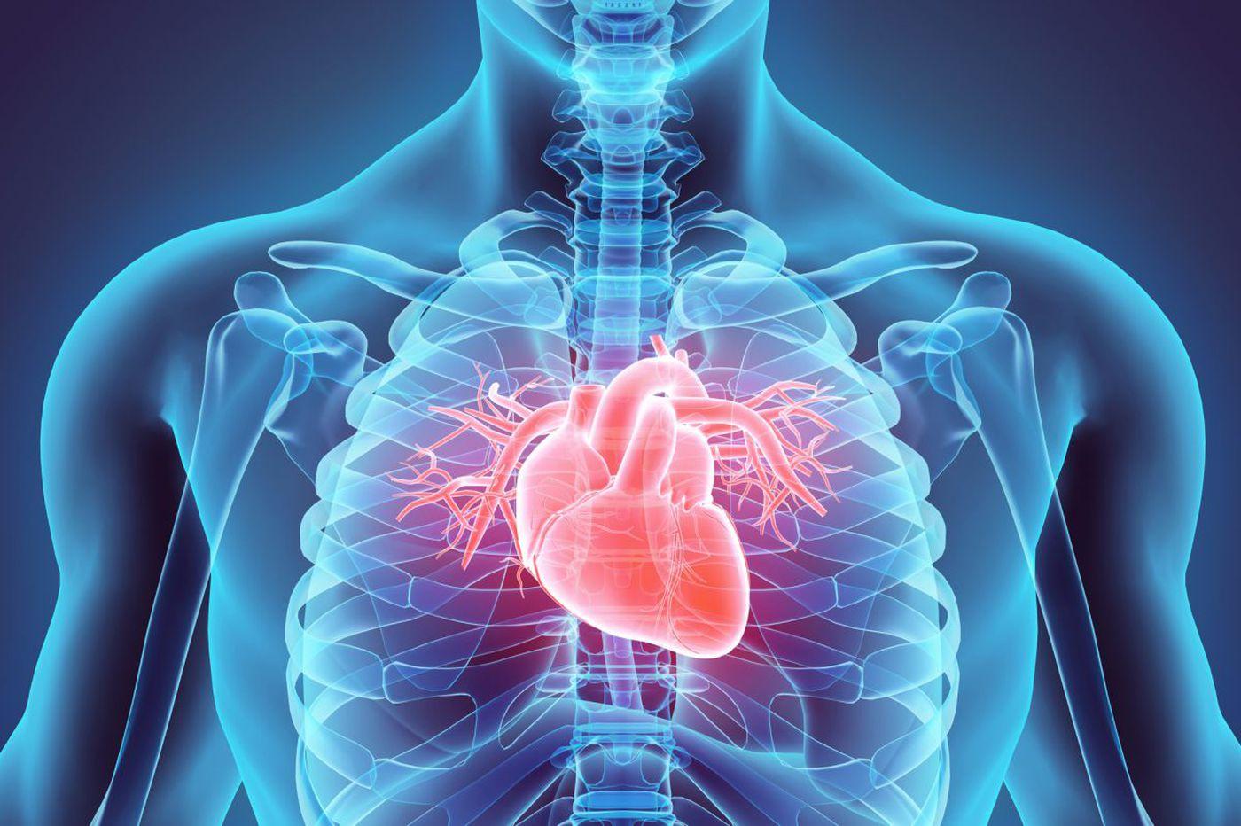 Cardiology
